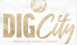 Dig City podcast